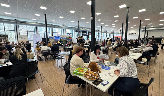 Udział w Roadshow Ostrava 2026