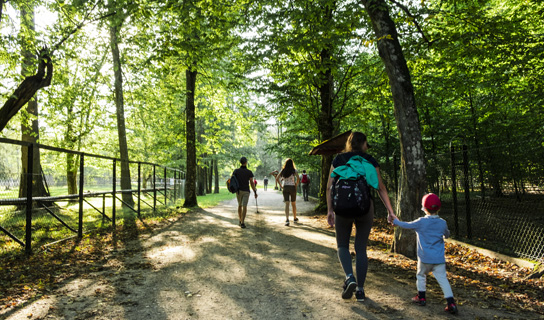 Podlaskie zrównoważone turystycznie 2.0